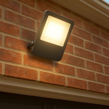 Flood Light